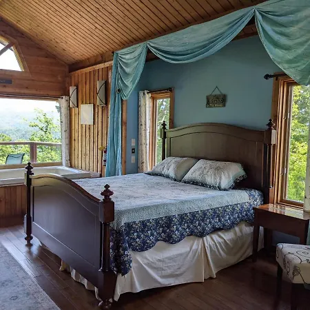 Twinflower Summit - Incredible Views, Pet Friendly! Gatlinburg Exterior photo